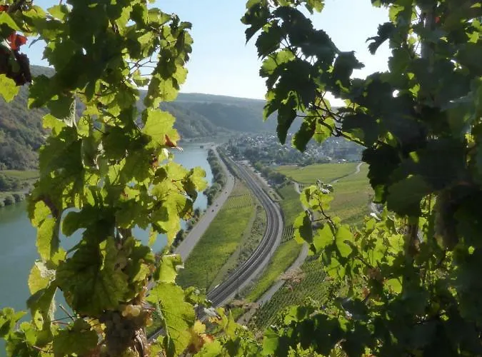 Apartament St. Petershof